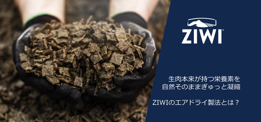 ペットの健康を一番に考える人におすすめ!ZIWI(ジウィ)のエアドライ製法とは?|バウワウ プレイス
