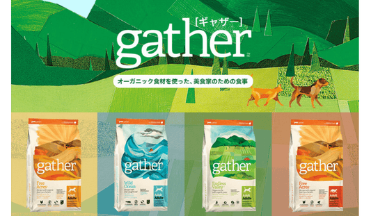 【gather(ギャザー)】カナダ産のオーガニック食材を使ったフードとは?!