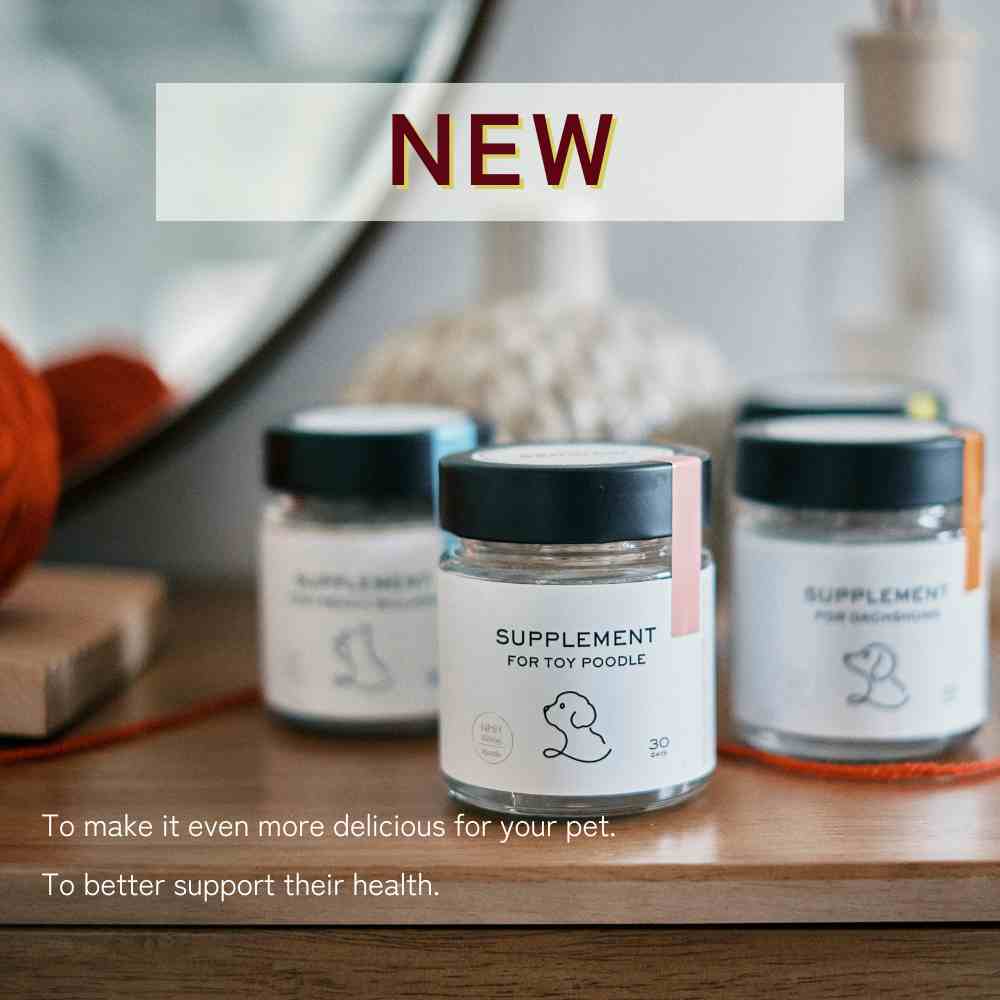 Supplement for Chihuahuas