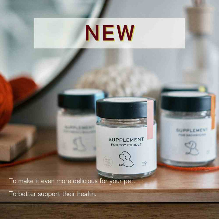 Supplement for Chihuahuas