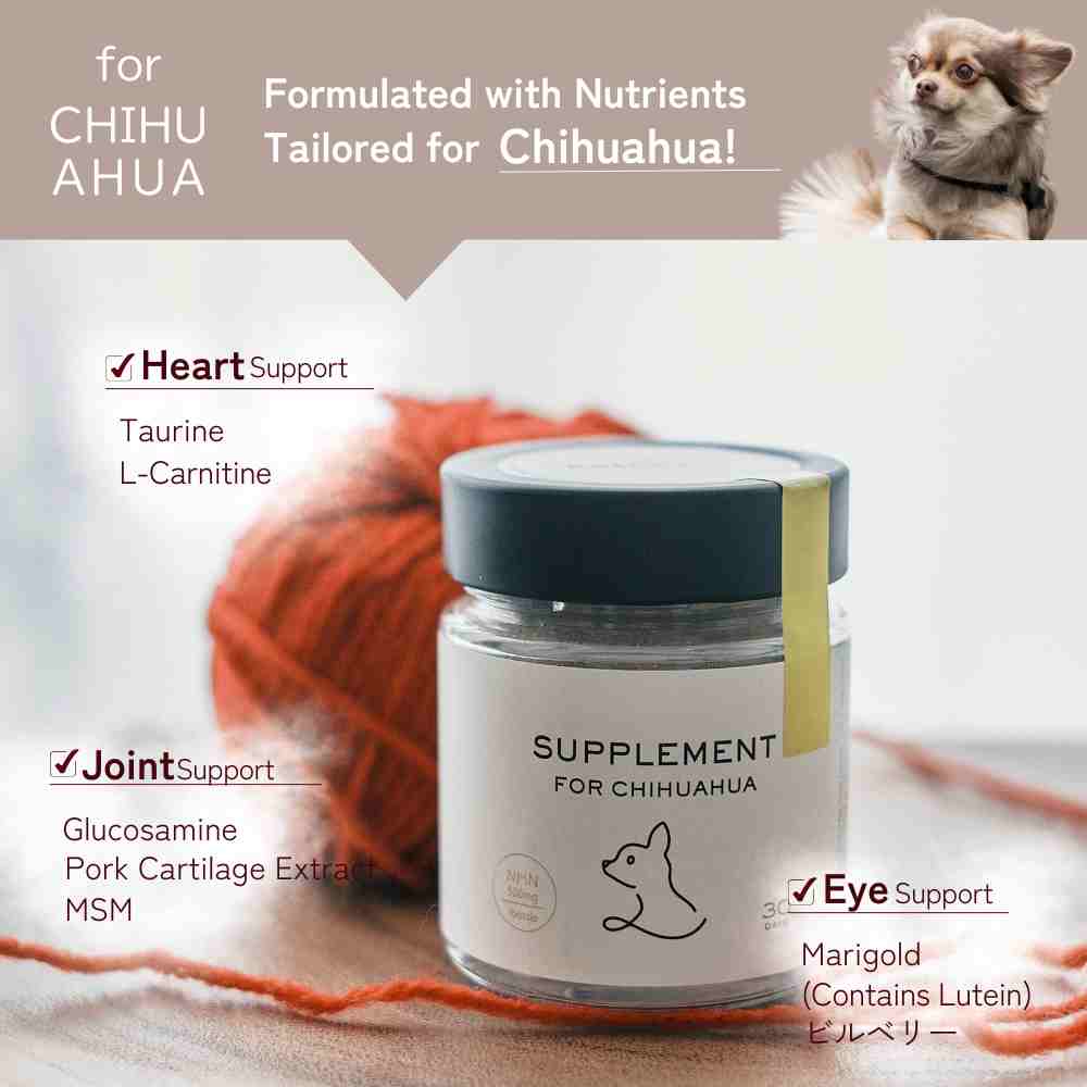 Supplement for Chihuahuas