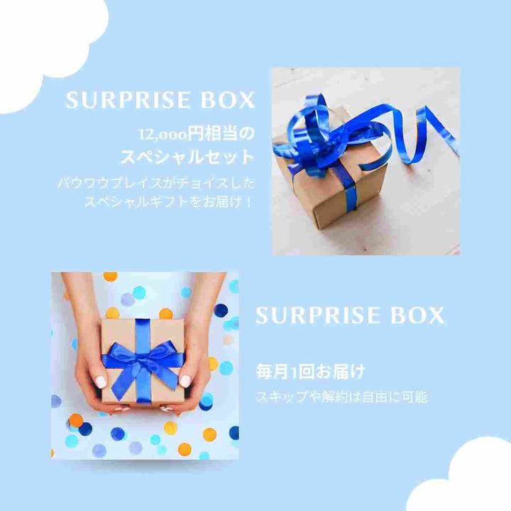 サプライズボックス【ブルー】