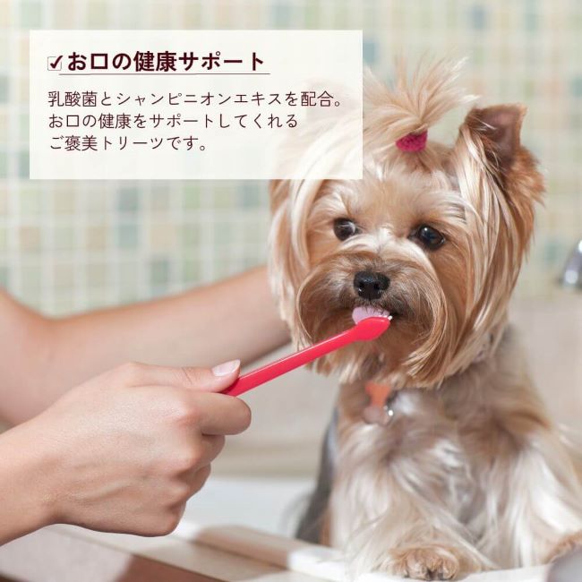 《定期購入》HEALTHCARE TREATS デンタルケア