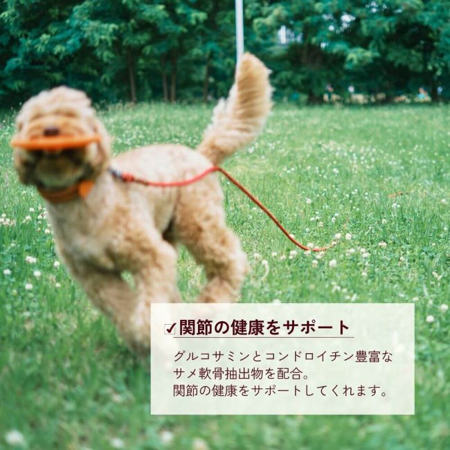 《定期購入》HEALTHCARE TREATS 関節サポート