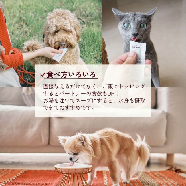 《定期購入》HEALTHCARE TREATS デンタルケア