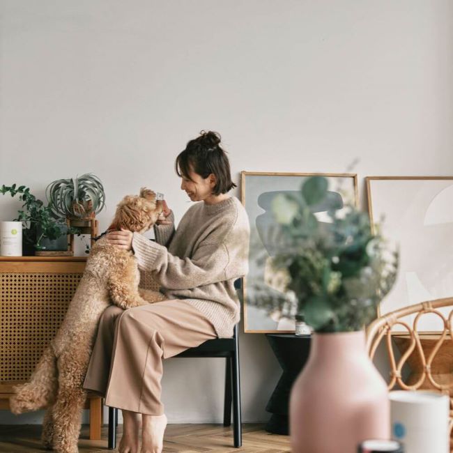 HEALTHCARE TREATS 関節サポート