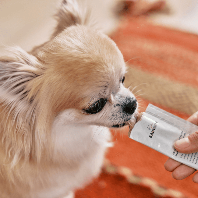 HEALTHCARE TREATS 腎臓サポート
