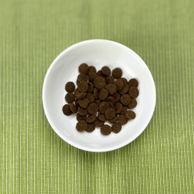 ニュートライプ ドライ ビーフ&サーモン with グリーントライプ DOG