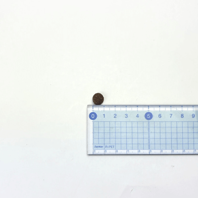 ニュートライプ ドライ ビーフ&サーモン with グリーントライプ DOG