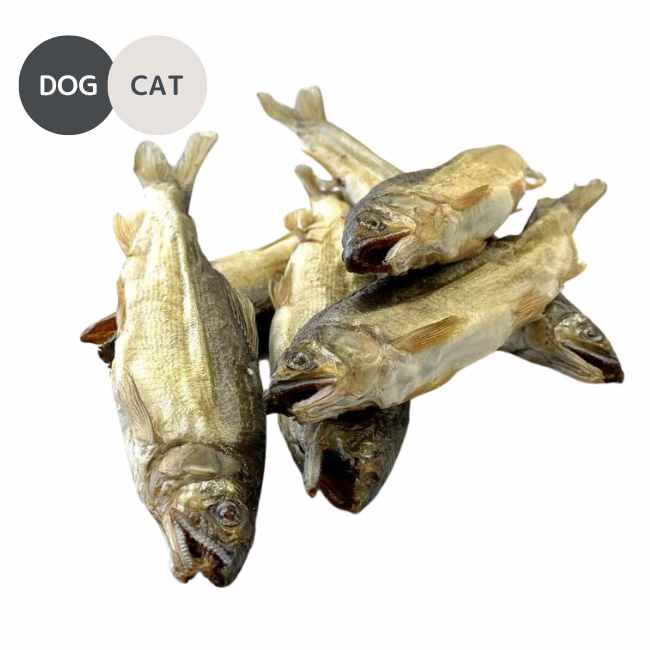 No.4 Smoked Sweetfish 鮎の燻製