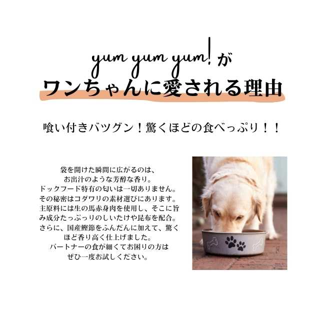 yum yum yum! 馬肉 やわらかドライタイプ