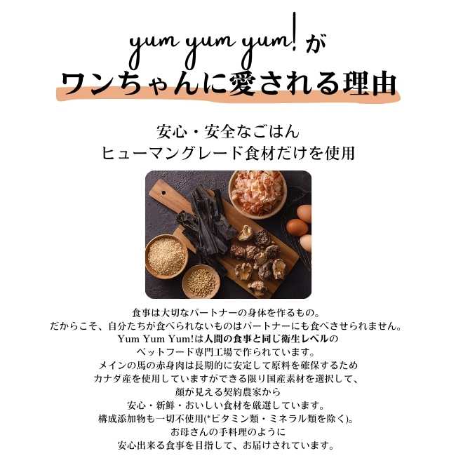 yum yum yum! シニア&ライト 馬肉 やわらかドライタイプ