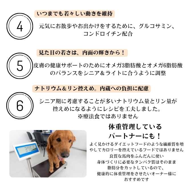 yum yum yum! シニア&ライト 馬肉ドライタイプ