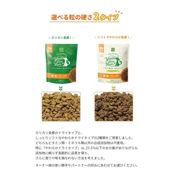 yum yum yum! 馬肉 やわらかドライタイプ