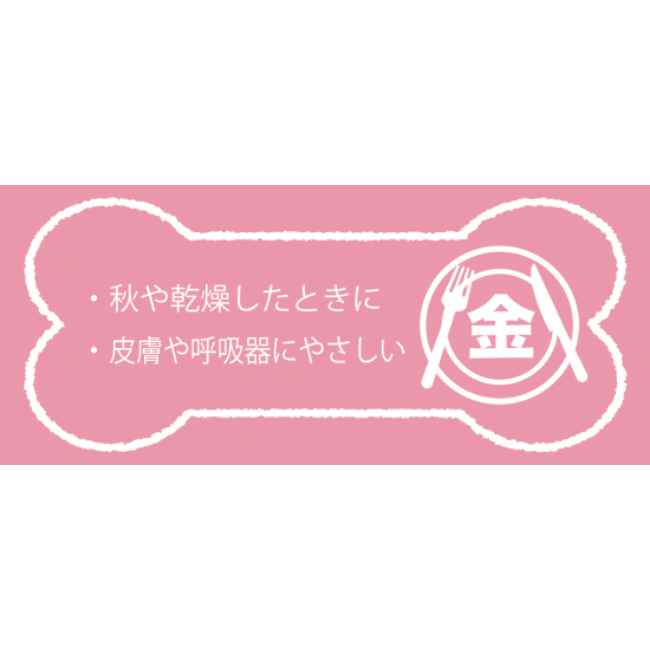 漢方ごはん レトルト総合栄養食 金 DOG
