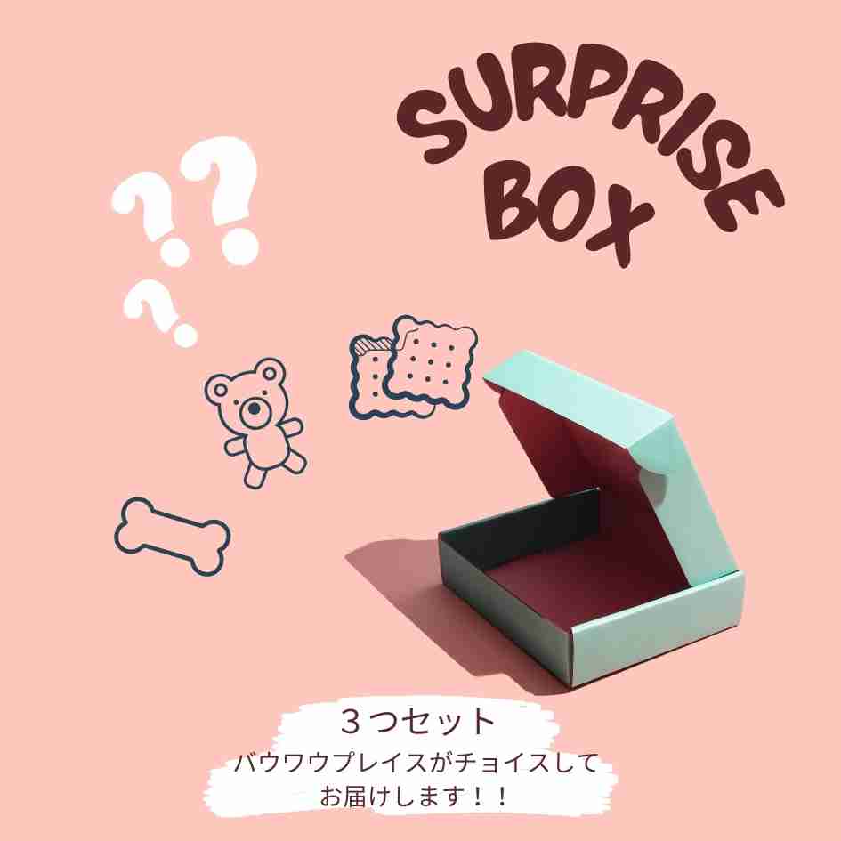 サプライズボックス【ピンク】│バウワウ プレイス公式通販