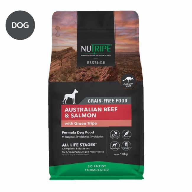ニュートライプ ドライ ビーフ&サーモン with グリーントライプ DOG