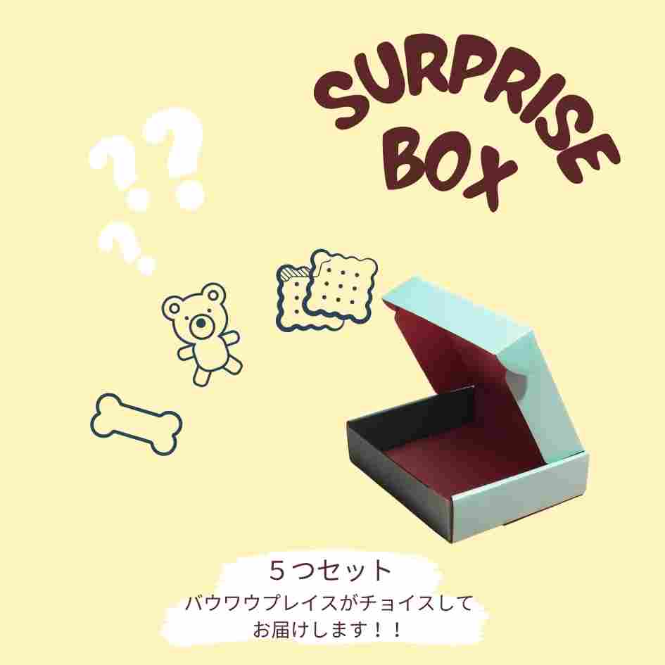 サプライズボックス【イエロー】│バウワウ プレイス公式通販