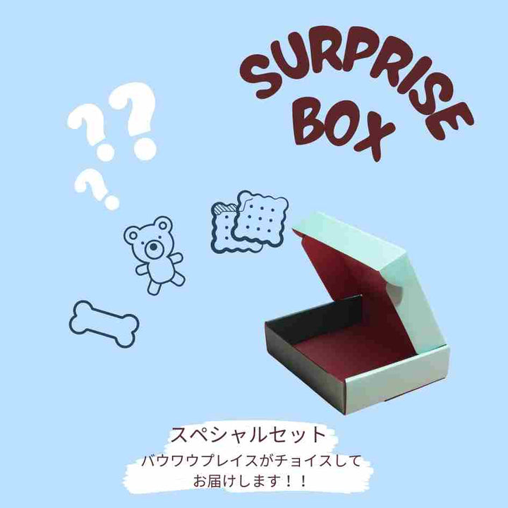 サプライズボックス【ブルー】