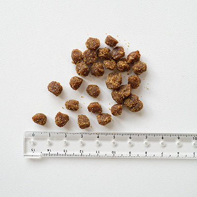 yum yum yum!パピー Happiness plus+