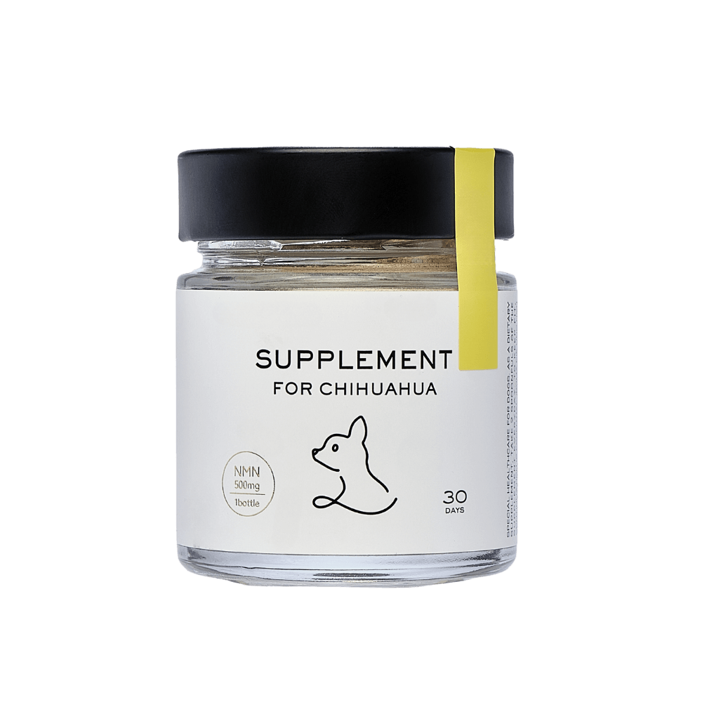 Supplement for Chihuahuas
