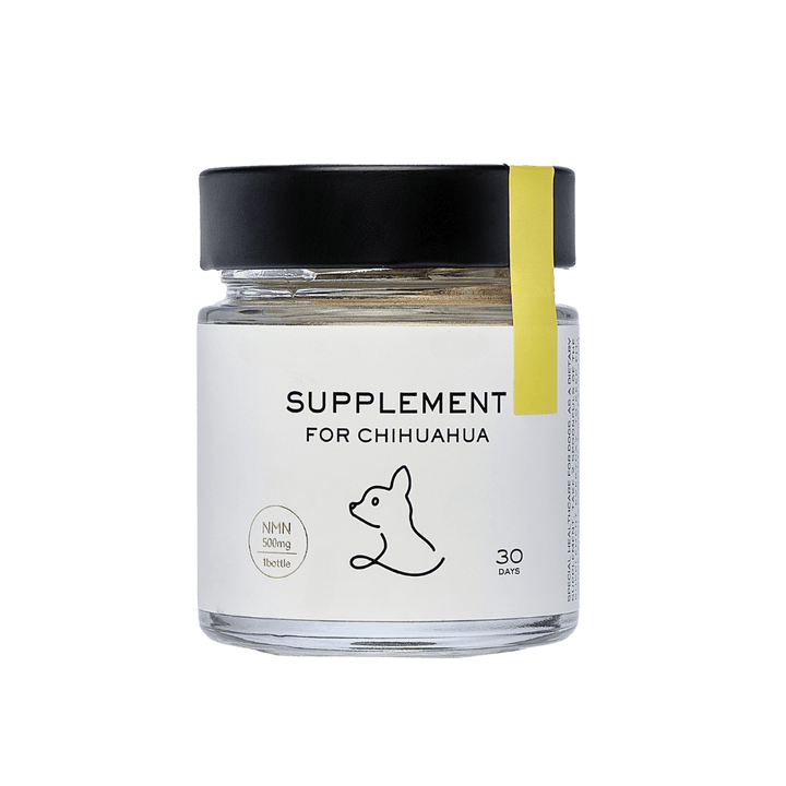 Supplement for Chihuahuas