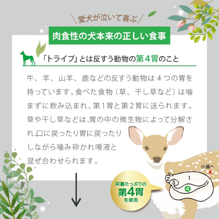 ニュートライプPURE ラム&グリーントライプ DOG