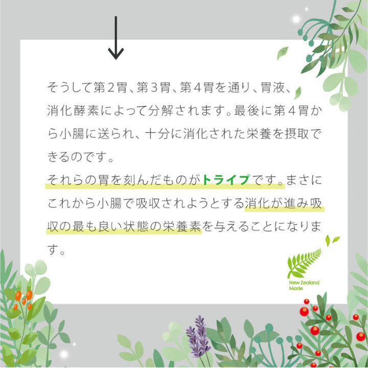 ニュートライプPURE ラム&グリーントライプ DOG