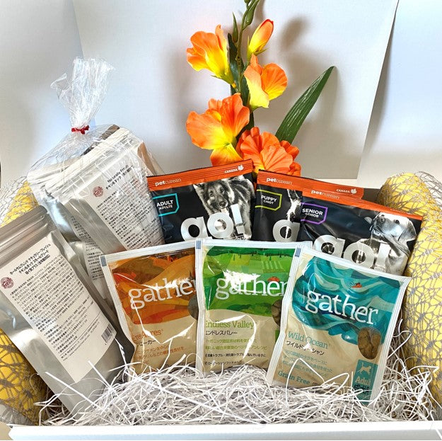 【お試しセット】ドッグフード詰め合わせセット DOG