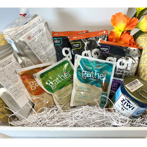 【お試しセット】ドッグフード詰め合わせセット+ドッグ缶 DOG