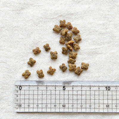 NOW FRESH グレインフリー スモールブリード シニア&ウェイトマネジメント DOG