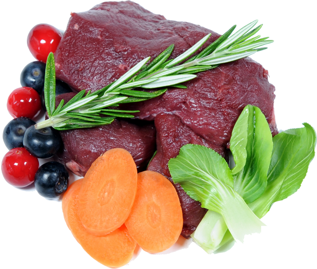 WOOF ワイルドベニソン DOG