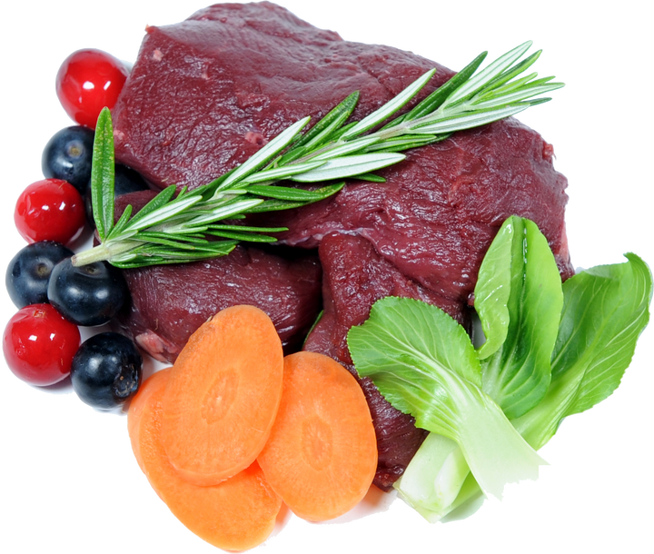 WOOF ワイルドベニソン DOG