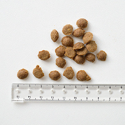 Yum Yum Yum! チキン ドライタイプ