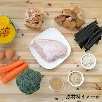 Yum Yum Yum! チキン ドライタイプ