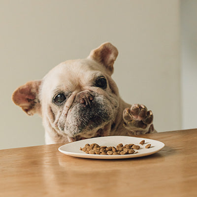Yum Yum Yum! チキン ドライタイプ