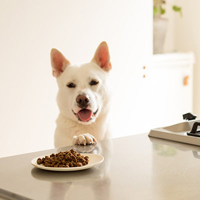 Yum Yum Yum! チキン やわらかドライタイプ