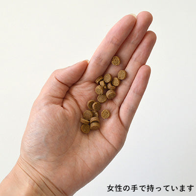 Yum Yum Yum!まぐろ ドライタイプ