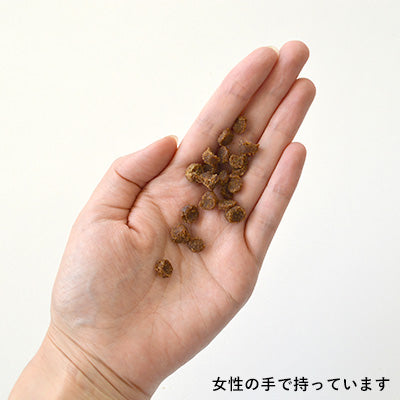 Yum Yum Yum! マグロ やわらかドライタイプ