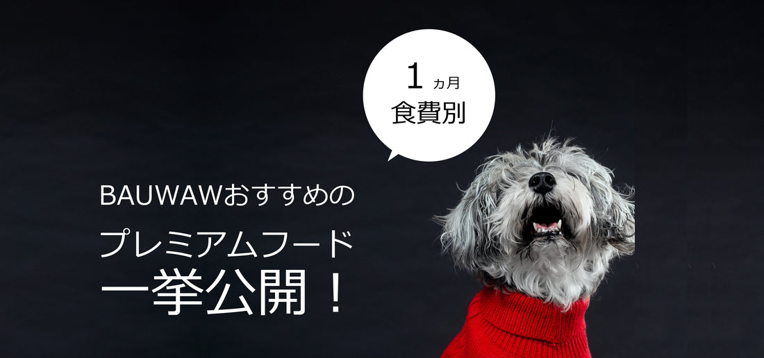 【予算別おすすめドッグフード】安全で危険な添加物が入っていないドッグフード