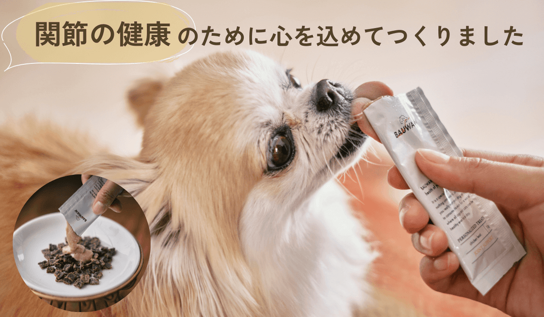 【獣医師監修】愛犬の為の関節健康サポートおやつ｜バウワウ プレイス