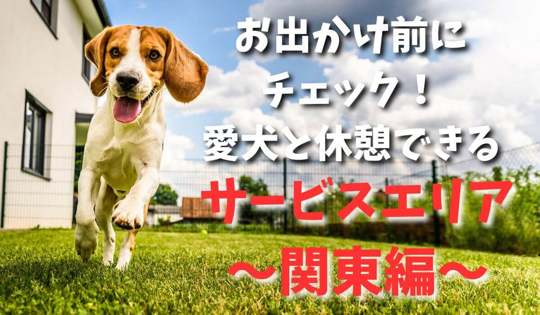 愛犬と休憩できるサービスエリア~関東編～