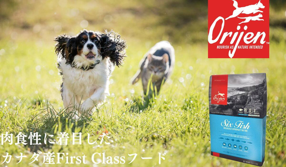 【Origen】オリジン　愛犬愛猫のために食材の栄養をまるごと生かしたフードとは？！