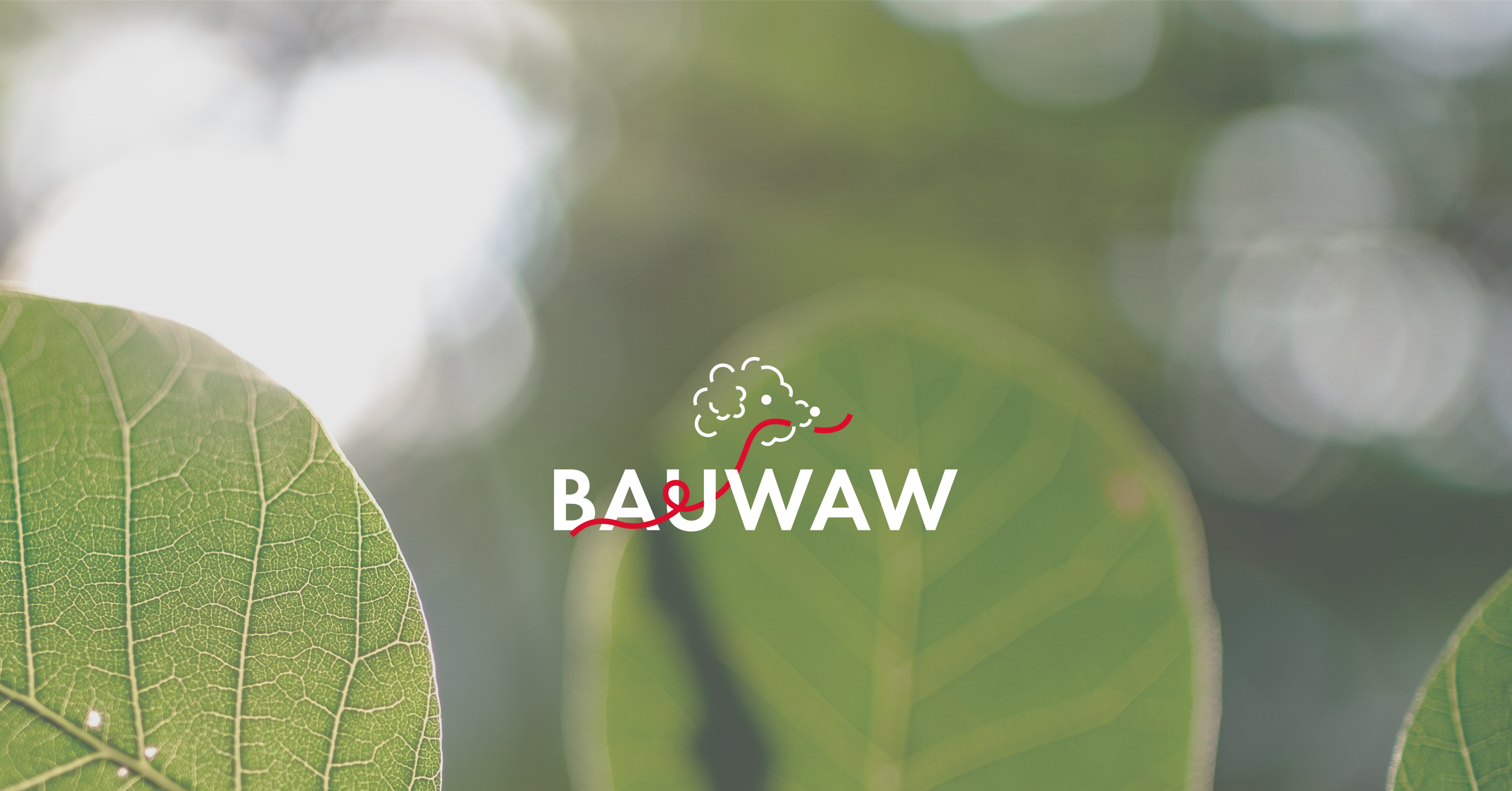 株式会社ボノボ