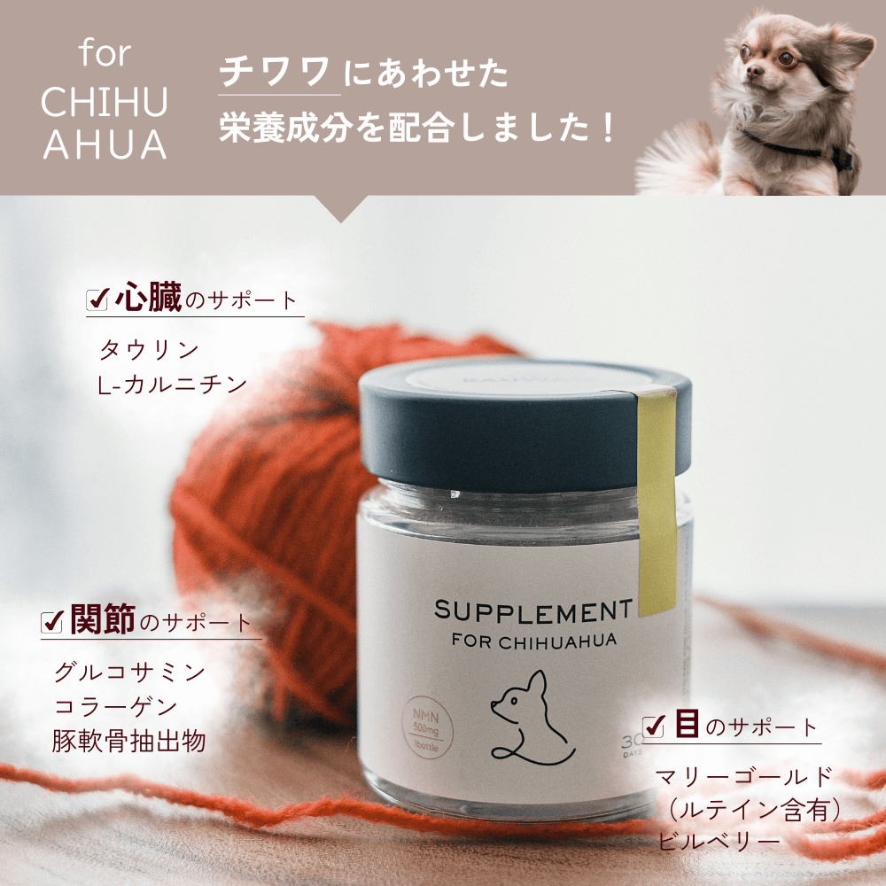 [Regular First Sample] ONE PLUS Supplement for Chihuahuas