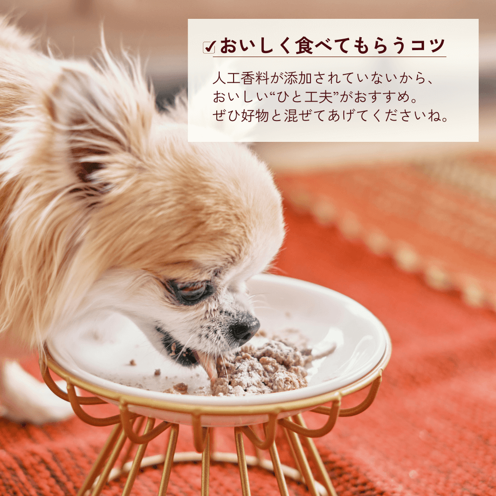 [Regular First Sample] ONE PLUS Supplement for Chihuahuas