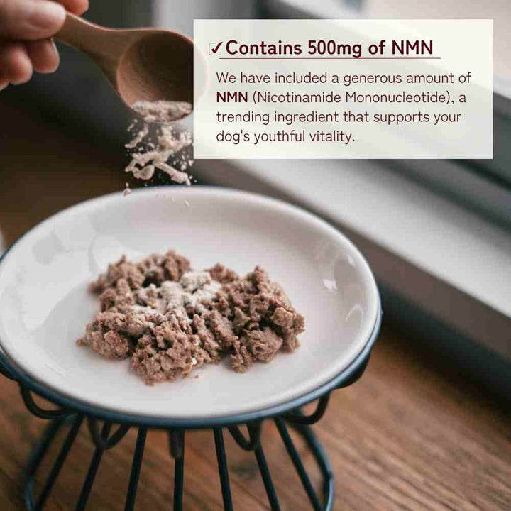 Supplement for Chihuahuas