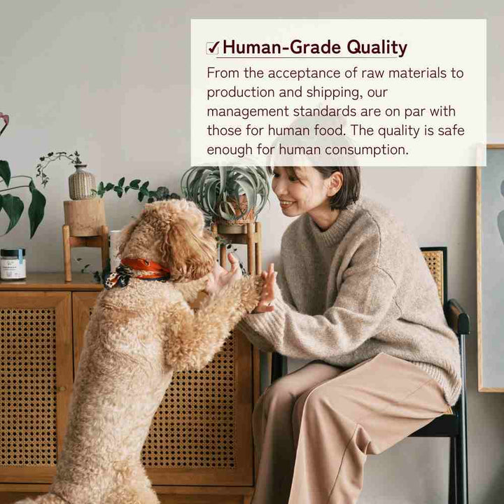 Supplement for Chihuahuas