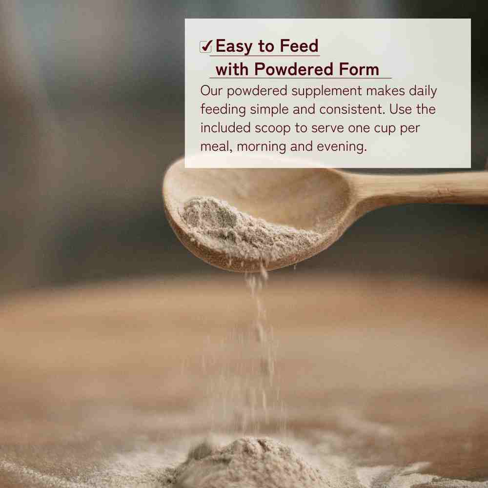 Supplement for Chihuahuas