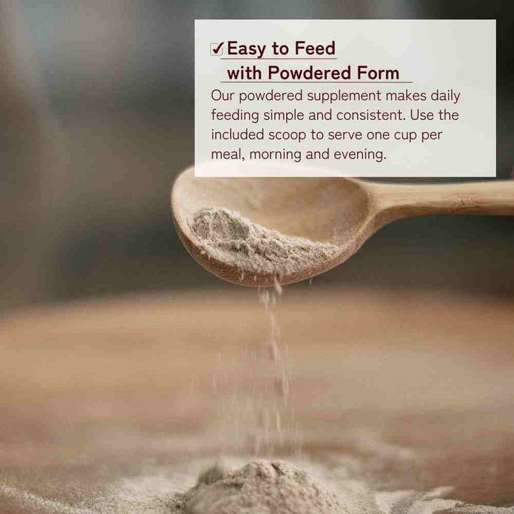 Supplement for Chihuahuas